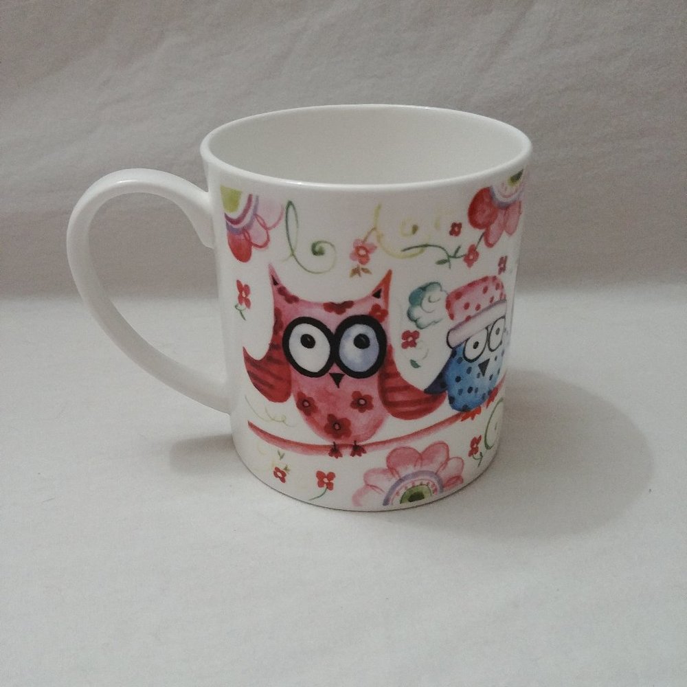 Rose of England Owl Fine China Cup Like New